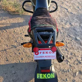 Fekon FK200-14G 2013