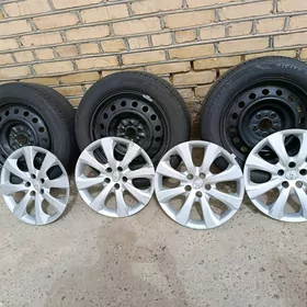 Corolla pokryska,diska