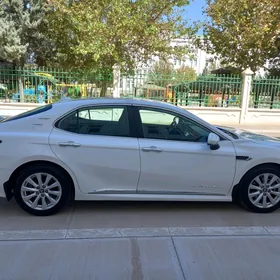 Toyota Camry 2019
