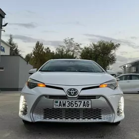 Toyota Corolla 2019