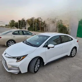 Toyota Corolla 2020