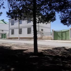 GÖKDEPE KATTEŽ