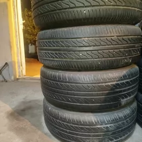 kamplekit dysga pakrysga. 16