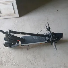 Elektro samakat