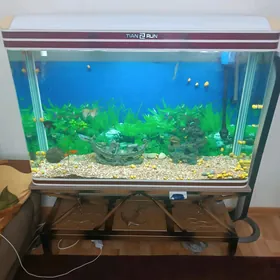 Аквариум 300л