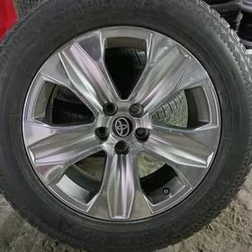 Highlander XL Radnoy dysga