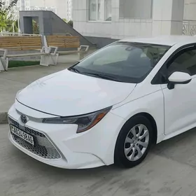 Toyota Corolla 2022