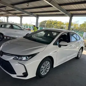 Toyota Corolla 2025