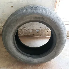 teker. pakryşka