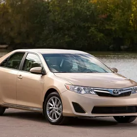 Palta Camry Diska 17 Org