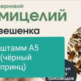 Satlyk komelek tohum,weşenka