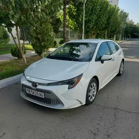 Toyota Corolla 2020