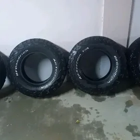 teker diska pakriska