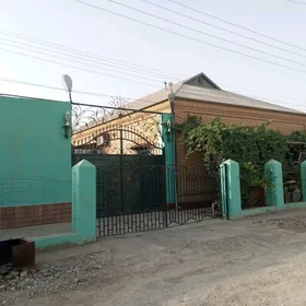 Mary şaher howly jaý