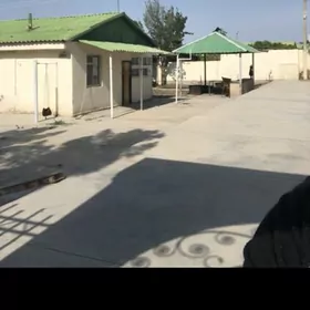 arenda jaÿ büzmeyin kruk plan