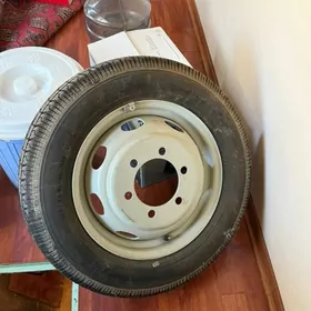 gazel zapaska orginal