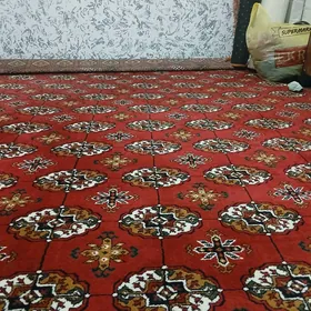 АНЕВ САТЛЫК ЖАЙ