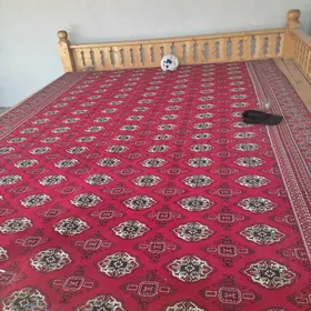 tapjan krawat