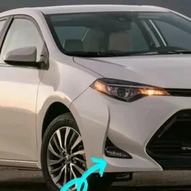 carolla tumanik