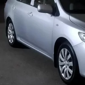karolla diska pakrişka