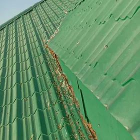 сендвич понел sendwiç