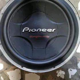 Pioneer