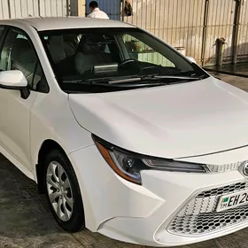 Toyota Corolla 2021