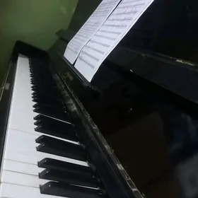 kuban