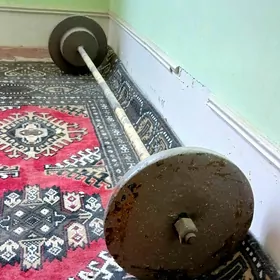 SHTANGA 45KG