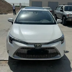 Toyota Corolla 2021