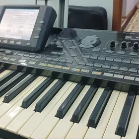 Korg