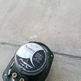Pioneer kalonka