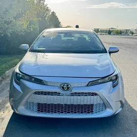 Toyota Corolla 2021