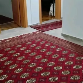 Arenda Komnyt Hozaykaly Gurtly