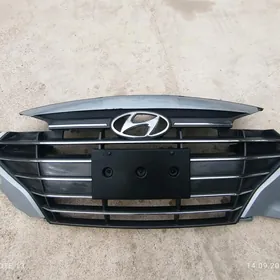 2019 Elantra Morda