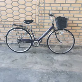 welik 27 6 skor