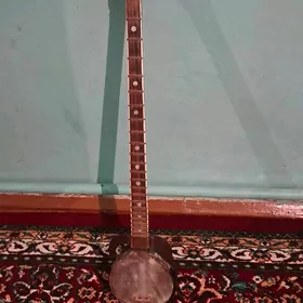 Plektrli dutar (Tar)