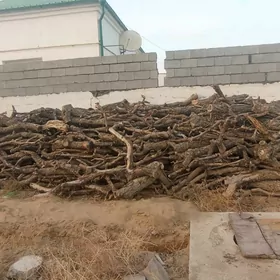 tonne ( odun )