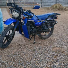 Fekon FK150-8G 2023