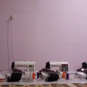 Janome 230