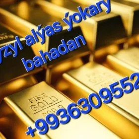 gyzyl