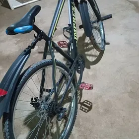 Sportivny velosiped