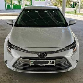 Toyota Corolla 2020
