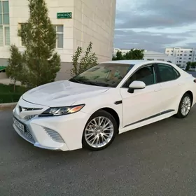Toyota Camry 2020