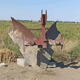 kapatel joya