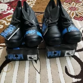 sapok