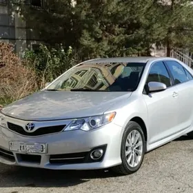 Toyota Camry 2013