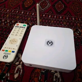 Vermax HD 100 IP tuner
