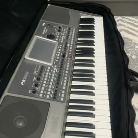 KORG PA-900