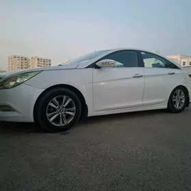 Hyundai Sonata 2010